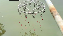 ÈA¼ܻʽ~(y) W(wng)ѣ׵¼u(mi)c(din)